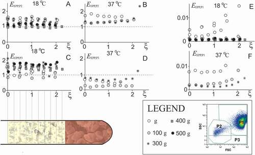 Figure 3. Distribution of particles in plasma above the erythrocyte boundary. A-I: Concentration of particles (A-B: platelets and EVs (P2 particles), C-D: weakly side-scattering particles (P3 particles) and E-F: residual erythrocytes and leukocytes (P1 particles)) measured in layers of EPP (plasma was collected in fractions from the sample surface down to the erythrocyte boundary as indicated in the illustration of the tube). SpinBlood was performed at different CPs as indicated by differently shaded markings of the circles and at different temperatures. The samples were also allowed to sediment in gravitational field (1 g) (empty circles). Concentrations of P1, P2 and P3 particles are given normalized to their blood values (annotated by the dotted line in Panels A-D).