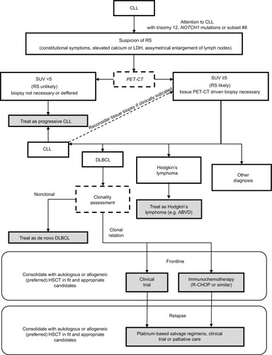 Figure 3 Management algorithm for patients with a clinical suspicion of RS.