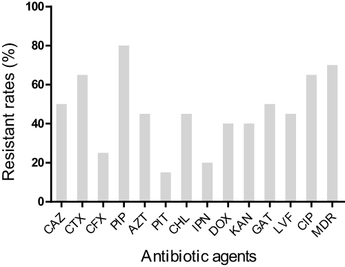Figure 1 The resistant rates of 20 K. pneumoniae isolated from sputum against 13 antibiotics.