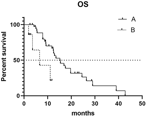 Figure 2 Kaplan–Meier survival curves of overall survival (OS) by treatment history (A: previously treated with both VEGF inhibitors and S-1; B: not previously treated with both VEGF inhibitors and S-1).