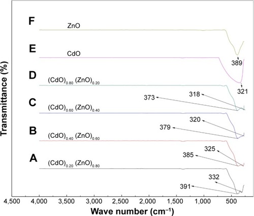 Figure 6 FTIR spectra of (CdO)x (ZnO)1–x nanoparticles in the range 280–4,500 at (A) (CdO)0.20 (ZnO)0.80, (B) (CdO)0.40 (ZnO)0.60, (C) (CdO)0.60 (ZnO)0.40, (D) (CdO)0.80 (ZnO)0.200, (E) (CdO)1.00 (ZnO)0.00, and (F) (CdO)0.00 (ZnO)1.00 nanoparticles calcined at 600°C.Abbreviations: FTIR, Fourier transform infrared; CdO, cadmium oxide; ZnO, zinc oxide.