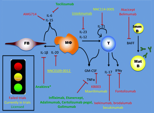 Figure 2. Cytokines targeted in rheumatoid arthritis. Main cell populations and sources of named cytokines. Green: licensed and currently in use. Yellow: currently undergoing trials. Red: ineffective or not taken forward to further trials. FB, synovial fibroblast; M0, macrophage; T, T cell; Imm B, immature B cell; Mat B, mature B cell. *Note anakinra is not licensed for use in the United Kingdom for RA.