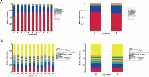 Figure 3. Fecal microbial composition of tahrs at the (A) phylum and (B) genus level. M: male group; F: female group