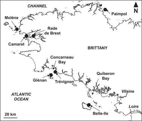 Fig. 1. Location of the seven Brittany maerl beds studied by IFREMER (Paimpol, Molène, Glénan, Trévignon and Belle-Ile) and IUEM (Rade de Brest and Camaret).