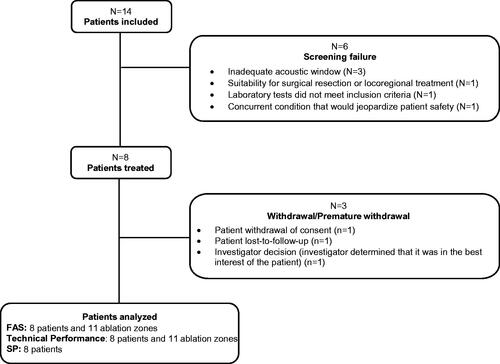 Figure 1. Patient enrollment and screen failures.