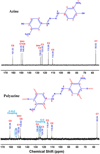 Figure 3. 13C-NMR of azine and polyazine.