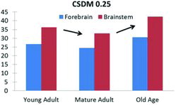 Fig. 5. CSDM (DAI risk indicator) results for young adult, mature adult, and old age brain tissue properties.