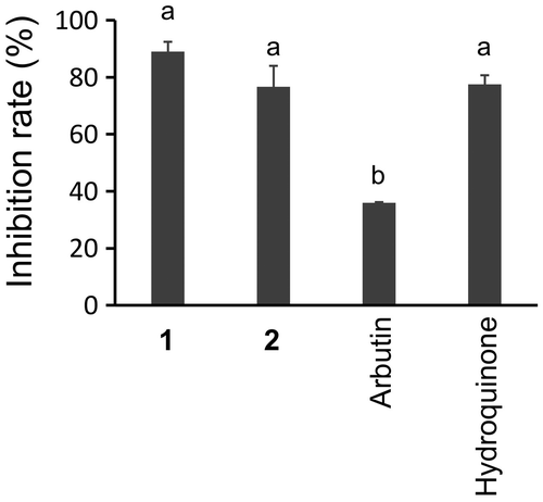 Figure 5. Inhibition of human tyrosinase by 500 μg/mL of 1, 2, arbutin, and hydroquinone. Different letters indicate statistical differences (p < 0.01, Tukey’s multiple comparison test).