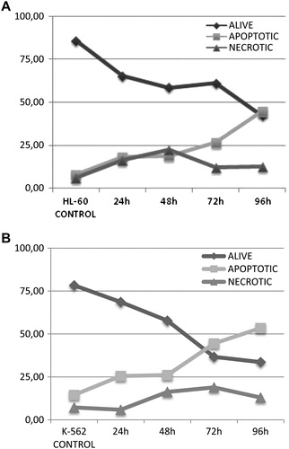 Figure 5. MP-induced HL-60 and K-562 cells were analyzed for apoptosis. While the dark arrow shows live cells, the gray arrow shows apoptotic and necrotic cells. As a result, a decrease was seen in the percentage of live cells with an increase in the percentage of apoptotic cells, indicating that high-dose MP induced programmed cell death of both HL-60 and K-562 leukemic cells when compared with untreated control cells (P < 0.001 and P < 0.01, respectively).