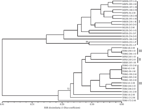 Fig. 3. Genetic dissimilarity dendrogram of 35 Puccinia triticina isolates collected in Canada based on the unweighted pair group method with arithmetic means clustering method using 1-Dice coefficient calculated from 21 EST-SSR markers. Numbers along the nodes are bootstrap values > 70% in 1000 replicas. The first four letters of isolate designation represent virulence phenotypes of P. triticina isolates based on 16 differential lines and the last letter represents the location where the isolate was collected. O, isolates collected in Ontario and Quebec; M, isolates collected in Manitoba and Saskatchewan; B, isolates collected in British Columbia and Alberta; P, isolates collected in Prince of Edward Island. Group I, II and III represent three groups of isolates clustered based on virulence to Lr2a, Lr2c and Lr17a.