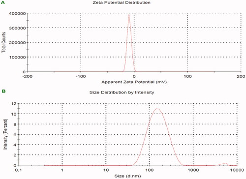 Figure 4. Zeta potential of the biosynthesized ZnO-NPs by GTME; A) zeta charge and B) zeta size. 
