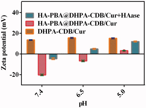 Figure 5. The zeta potential Changes of oHA-PBA@DHPA-CDB/Cur after incubation with HAase at different pH.