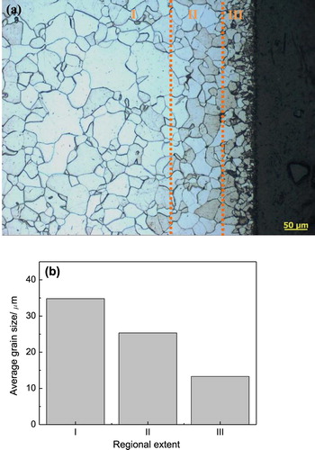 Figure 2. (a) Cross-sectional image of the CPE treated steel at 340 V, (b) average grain sizes of three typical regions, I: steel matrix, II: transition region, III: surface region.