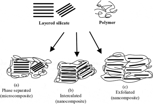 Figure 1. Different types of PNCs incorporating layered silicate fillers (Fu, S. et al., Citation2019)