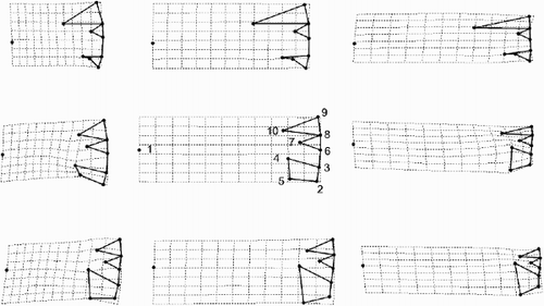 Fig. 33. Patterns of allometric valve shape change in the three morphs with size as calculated from a linear regression of the partial warp scores on the logarithm of valve diameter. Landmarks (see Fig. 2 to link them to the anatomic features of the valve interior) are connected by thick lines but the diagrams are rotated approximately 90° anti-clockwise compared to Fig. 2. The landmark configurations predicted by the regression for three different diameters (D1 = 8, 16 and 24 µm, respectively) in the three morphs are shown in the columns and the different taxa by rows. Row 1 = Cyclotella meneghiniana, row 2 = ‘ambiguous’ morph of C. scaldensis and row 3 = ‘extreme’ morph of Cyclotella scaldensis.
