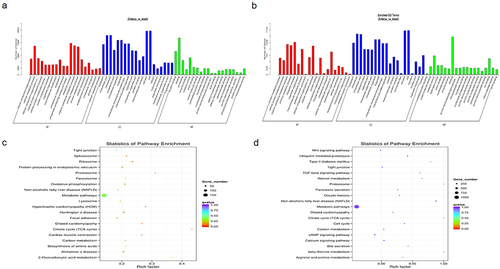 Figure 2. GO and KEGG analysis of differentially expressed lncRNAs.