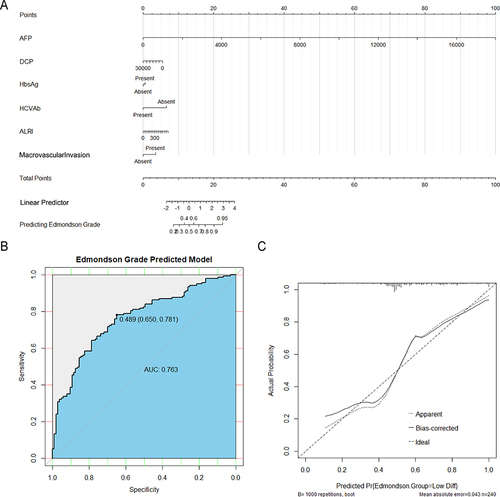 Figure 3 The development and evaluation of the nomogram model. (A) Established nomogram based on the multivariate logistic regression analysis. (B) The receiver operating characteristic (ROC) curve and area under the curve (AUC) value of the nomogram. (C) The calibration curve of the model (mean absolute error = 0.043).