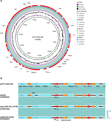 Figure 2 Genomic analyses of plasmid p4717-OXA-484. (A) Comparative analysis of plasmids p4717-OXA-484 with pLB_OXA-181_PT109 (no. CP041033), pSECR18-2374D (no. CP041931) and pKS22 (no. KT005457). (B) Comparison of genes surrounding blaOXA-484 on p4717-OXA-484, pLB_OXA-181_PT109 (no. CP041033), pSECR18-2374D (no. CP041931) and pKS22 (no. KT005457). Open reading frames (ORFs) are shown as arrows and indicated according to their putative functions. Red indicates antimicrobial resistance genes, light blue indicates genes related to mobile elements, and the Orange represents other functional genes. Regions with a high degree of homology are indicated by blue shading.