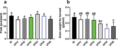 Figure 4. Field yield for per plant. (a) Pods number for per plant. (b) Grain weight for per plant.