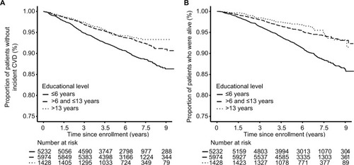 Figure 1 Kaplan–Meier curves for incident CVD (A) and all-cause mortality (B) by educational level.