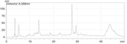 Figure 3. HPLC profile of the ethyl acetate fraction of P. chloranthus.