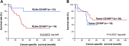 Figure 3 Kaplan-Meier cancer-specific survival curves for patients with bladder cancer. (A) Patients were divided into two groups according to the number of CD169+ macrophages in RLNs. (B) Patients were divided into two groups according to the number of CD169+ macrophages in the tumor.