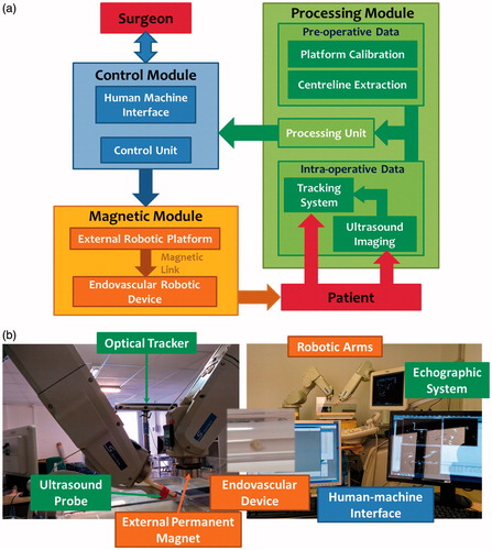 Figure 1. (a) Traditional CAS architecture adapted to intravascular medical procedures with magnetic dragging and US-based tracking. (b) The MicroVAST platform experimental setup for magnetic dragging of an endovascular device under US monitoring.