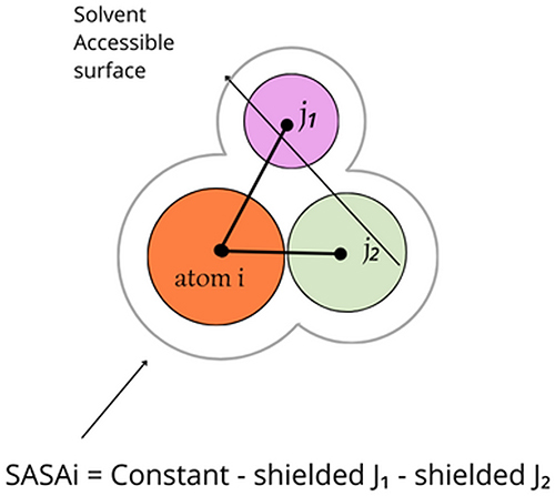 Figure 2 Conditions for Calculating Solvent-Accessible Surface Area (SASA). Reprinted (adapted) with permission from Huang H, Simmerling C. Fast Pairwise Approximation of Solvent Accessible Surface Area for Implicit Solvent Simulations of Proteins on CPUs and GPUs. J Chem Theory Comput. 2018;14(11):5797–5814.Citation23 Copyright 2023 American Chemical Society.