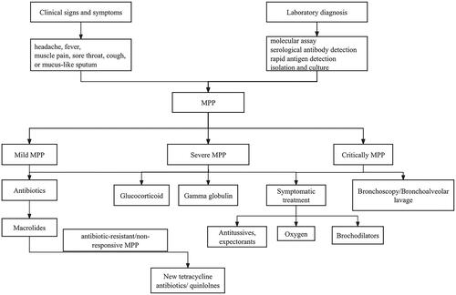 Figure 1. Flowchart of laboratory diagnosis and treatment of mycoplasma pneumonia in children.