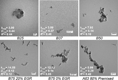FIG. 8. Sample TEM images. All scale bars are 100 nm, except for B25, which is 20 nm.