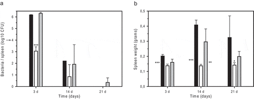 Figure 4. Infection of Balb/c mice with B. microti strains: growth and survival of B. microti strains in the spleen (a) and spleen weights of infected animals (b) after i.p. inoculation of 104 bacteria. The number of viable B. microti CCM4915T wild-type (black bars), BmRΔwbkE strain (open bars), and complemented BmRΔwbkE mutant (grey bars) was determined at days 3, 14, and 21 post-infection. The arrow indicates the infection dose of 104 bacteria. Five mice were sacrificed per bacterial strain and time point, and values represent means ± SD. Asterisks indicate variable significance of the differences between the R-strain and the wild-type (next to left bar) or R-strain and the complemented mutant (next to right bar), or between the R-strain and both the wild-type and the complemented mutant (above middle bar): * P < 0.05; ** P < 0.005; *** P < 0.001.