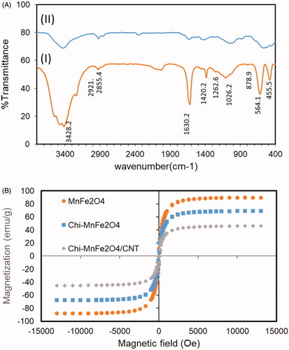 Figure 3. (A) FTIR spectra of the (I) f-CNT and (II) Chi- MnFe2O4/CNT samples. (B) VSM plot of the MnFe2O4, Chitosan coated MnFe2O4 and the hybrid Chi- MnFe2O4/CNT samples.