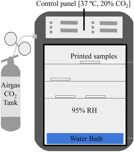 Figure 6. Illustration of the carbonation chamber setup and settings.