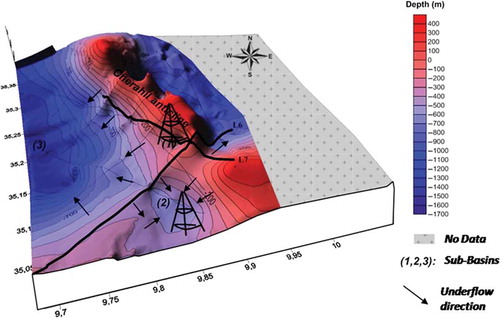 Figure 11. Three-dimensional representation of top Oligocene reservoir showing the presence of three sub-basins (1, 2 and 3).