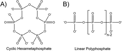 Figure 1. Suggested structures of HMP. A) A cyclic structure consisting of 6 phosphate units. B) A linear structure with a mix of chain lengths, n.