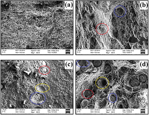 Figure 1. Field-emission scanning electron microscopy (FESEM) micrographs of fracture surfaces of Mo/6082Al AMCs containing Mo particles: (a) 0 vol.%; (b) 6 vol.%; (c) 12 vol.%; and (d) 18 vol.%. Blue circle: fractured particles; red circle: pull out particles; yellow circle: pull out particle pits. Source: adapted from Selvakumar et al. (Citation2017), with permission from Elsevier.