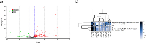 Figure 3. Differential gene expression among B. longum strains.