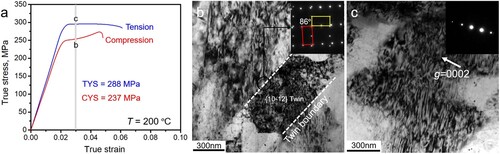 Figure 1. (a) Ture stress–true strain curves under tension and compression modes of the S5 alloy at 200°C. Bright-field TEM of hot-worked grains in (b) compressive sample and (c) tensile sample with a true strain of ∼0.03 (just over yielding point).