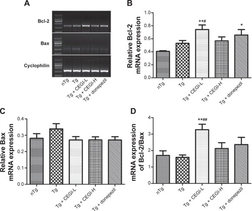 Figure 5 Effects of CEGI on mRNA expression of Bcl-2 family members in the hippocampus of APP/PS1 mice.