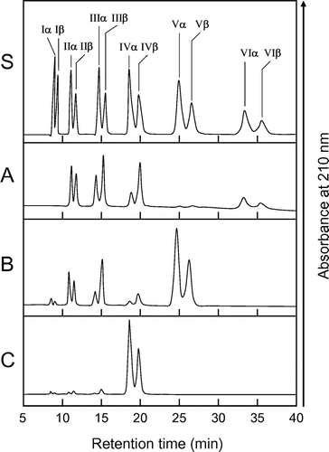 Fig. 3. HPLC analysis of the hydrolysis products of (GlcNAc)n by EaChiA.Notes: S, Standards (GlcNAc)1–6; (A) hydrolysis products of (GlcNAc)6; (B) hydrolysis products of (GlcNAc)5; (C) hydrolysis products of (GlcNAc)4. I to VI indicate (GlcNAc)1–6; α and β indicate the α- and β-anomer, respectively. Standard (GlcNAc)1–6 and the reaction mixtures were analyzed by HPLC on a TSKgel amide-80 column as described in Materials and Methods.