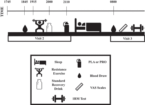 Figure 1. Visit 2 and 3 timeline.