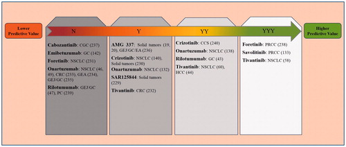 Figure 5. Potential role of tumor tissue MET aberrations to predict the response to HGF/MET targeted therapies in different cancers. The prediction of the effectiveness of MET targeted therapies based on MET biomarkers in tumor tissue are shown in a summarizing scheme. Higher predictive value indicates that MET-positive patients have benefited from treatment, while lower predictive value shows that the drug has not been effective in MET-high patients. YYY: Biomarker value was proved by directly comparing MET-positive and MET-negative patients. YY: Biomarker value was independently shown in MET-positive patients and MET-negative patients. Y: Biomarker value was shown in MET-positive patients. N: No biomarker value was shown for MET aberration. The details of the studies are reported in Table 2. Reference numbers are shown in brackets.