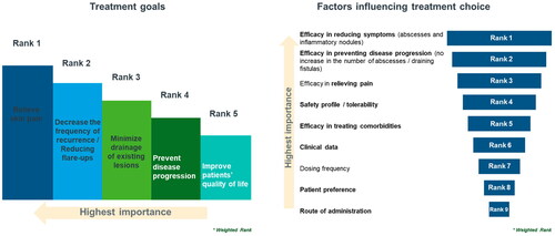 Figure 3. Treatment goals and factors influencing treatment choice in hidradenitis suppurativa.