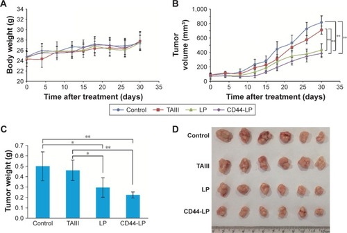 Figure 5 In vivo antitumor evaluation of HepG2-bearing mice after intraperitoneal injection of PBS (control), free TAIII, LP, and CD44-LP at 30 days.Notes: (A) Change in body weight. (B) Change in tumor volume. (C) Tumor weight at day 30 after the mice were sacrificed. (D) Photograph of tumors excised from mice at day 30. Day 0 is the day of first injection. Data are presented as mean ± SD (n=6). *P<0.05 and **P<0.01.Abbreviations: LP, liposomes; TAIII, timosaponin AIII.