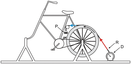 Figure 3. Amar’s cycle ergometer; D, P, and R correspond to the dynamometer, platform for weight, and steel ribbon, respectively.