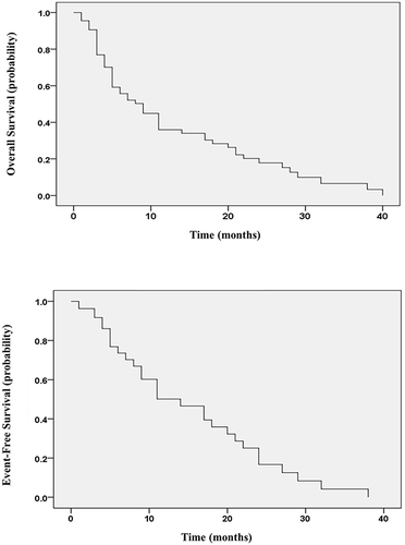 Figure 2 Kaplan–Meier curves of probable cumulative OS and EFS.