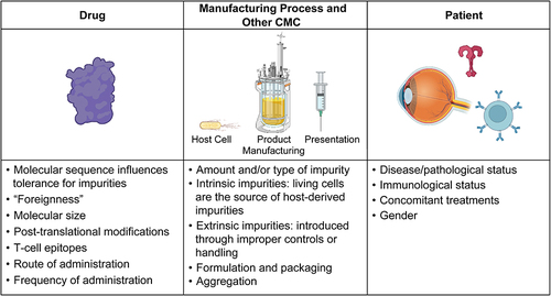 Figure 5 Multifactorial considerations for the potential causes of intraocular inflammation. Images created with Biorender.com.