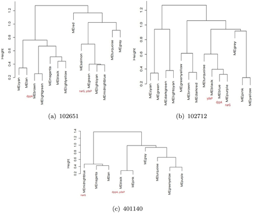 Figure 6. WGCNA hierarchical clustering of modules for three isolates (a) 102651, (b) 102712, and (c) 401140. The selected virulent genes (dppA, narG, ydeP) are identified in red in each tree. These virulent genes were differentially expressed.