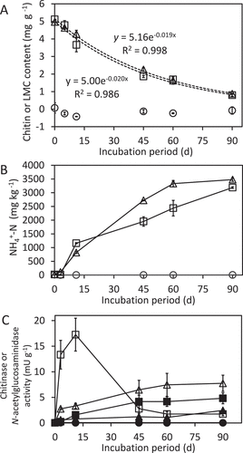 Figure 3. Degradation of chitin and LMC60 in an upland soil. (A) Amount of LMC60 and chitin in incubated upland soil. (B) Amount of ammonium in incubated upland soil supplemented with chitin or LMC60. (C) Activities of chitinolytic enzymes. Circles, control soil (without LMC60 or chitin); triangles, soil supplemented with LMC60; squares, soil supplemented with chitin. In panel C, chitinase activity evaluated with 4MU-(GlcNAc)3 is indicated by open symbols while N-acetylglucosaminidase activity assayed with 4MU-GlcNAc is shown by closed symbols. In panel A, the results of exponential approximation are shown by formulas with the determination coefficients. Soil samples were prepared in duplicate and the average contents are shown. Error bars indicate the maximum and minimum contents of the duplicated soil samples