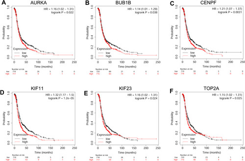 Figure 7 The correlation analysis between hub genes and PFS of patients with ovarian cancer. The association between the expression levels of AURKA (A), BUB1B (B), CENPF (C), KIF11 (D), KIF23 (E) and TOP2A (F) and the PFS of patients with ovarian cancer was analyzed by KM plotter (www.kmplot.com).